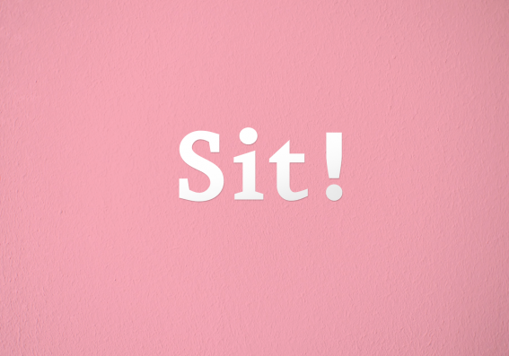 »Sit!«